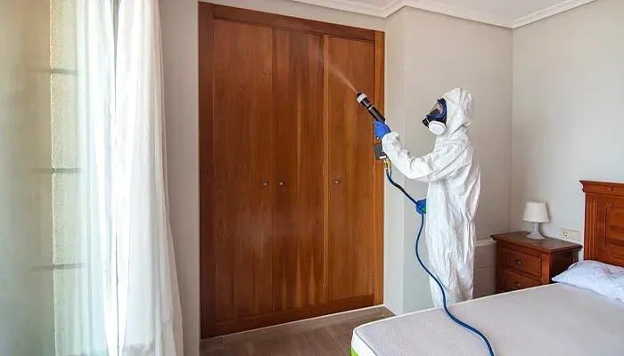 Bed Bug Pest Control Services